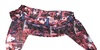 Product 19006 short.800x600w