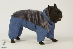 Комбинезон для собак Тузик Зима - 2 Английский Бульдог с капюшоном, тёплый, комбинированный мехом