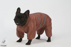 Комбинезон для собак Тузик Север - 1 Бассенджи на меховой подкладке, зимний