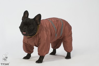 Комбинезон для собак Тузик Север - 1 Бультерьер на меховой подкладке, зимний