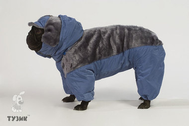 Комбинезон для собак Тузик Зима - 2 Левретка с капюшоном, тёплый, комбинированный мехом