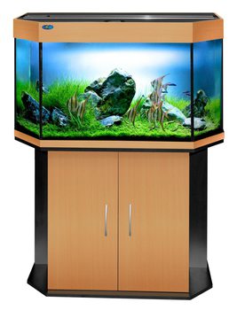 Аквариум для рыб Шельф 140 бук, лампы 2x25 Вт,стекло 6 мм, 85x40x52 см, 143 л