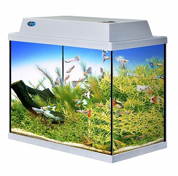 Аквариум для рыб Классик 40, 44x22x37 см, 37 л