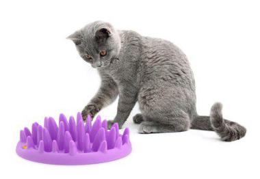 Интерактивная миска для кошек Nortmate Catch фиолетовая