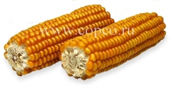 Лакомство для грызунов Jr Farm кукуруза, 200 г