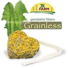 Лакомство для грызунов Jr Farm Grainless беззерновое, сердце с лепестками, 90 г