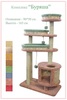 Product 20783 full