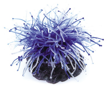 Мягкий коралл в аквариум Dezzie 14x14x9 см, резина, пластик, синий