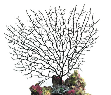 Мягкий коралл в аквариум Dezzie 27,5x25 см, резина, пластик