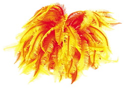 Мягкий коралл в аквариум Dezzie 23x23x12 см, силикон, красно-желтый