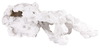 Product 21834 short