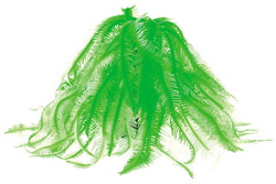 Распылитель в аквариум Dezzie Мягкий коралл № 50, 12 x 12 x 17 см, силикон, зеленый