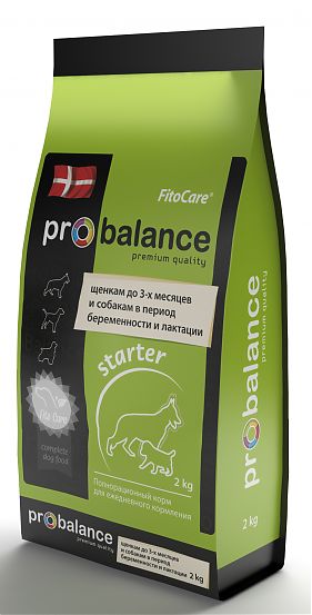 Starter 2kg 281 auto 5 80