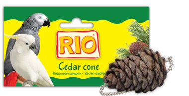Shishka rio big1