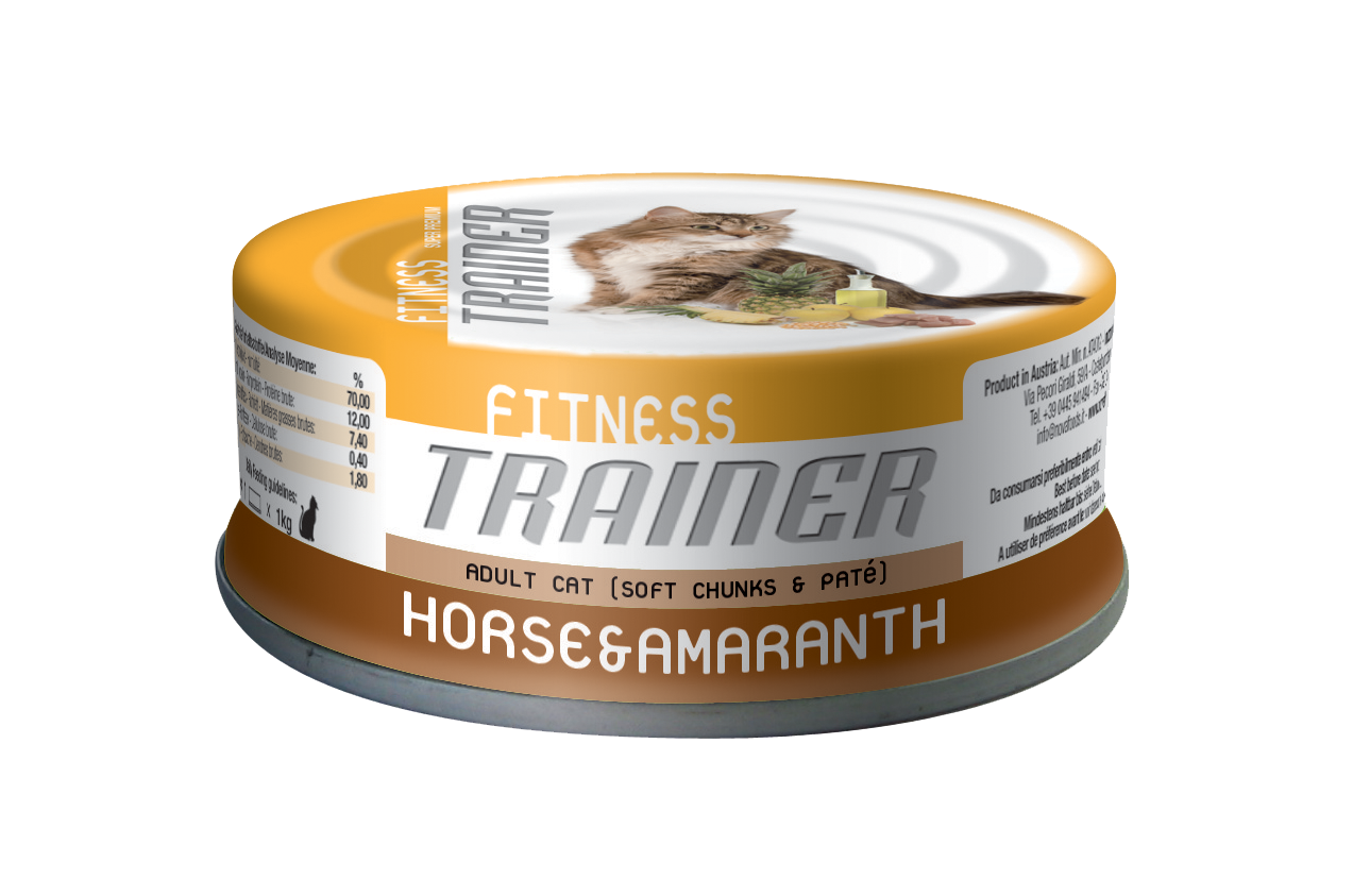 H2o fitness horse