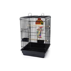 Клетка для птиц Penn-Plax Parrot Starter с комплектацией, черная, 47 x 47 x 70 см