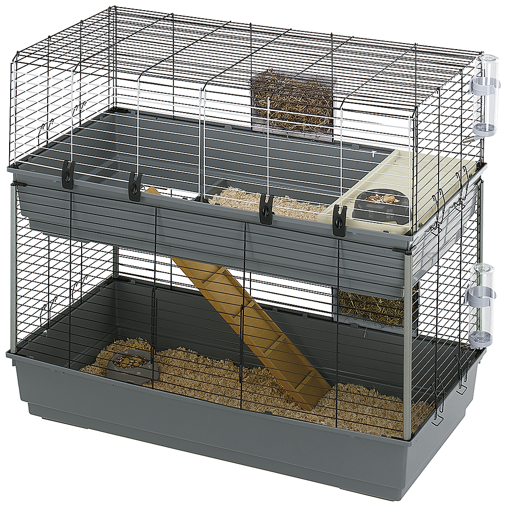 57047817 rabbit 120 double 1000x1000px