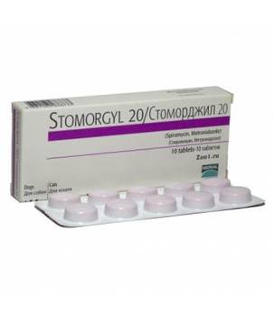 Stomordzhil 20mg 10tab up