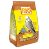 Budgies moult big 500x500
