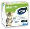 Viyo kitten 1