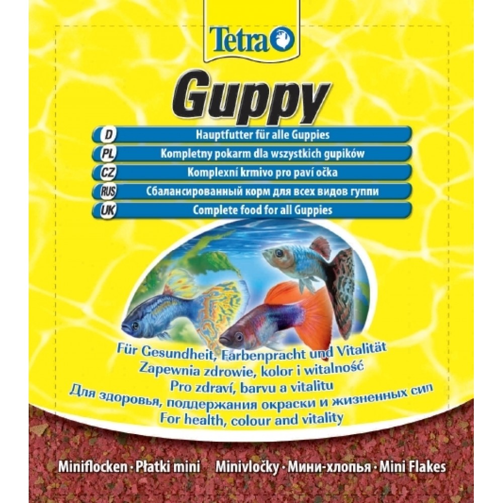 Tetra guppy 1000x1000