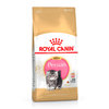Royal canin kitten persian