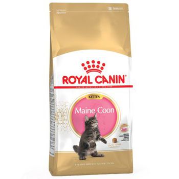 Сухой корм для котят породы Мейн-Кун в возрасте до 15 месяцев Royal Canin Kitten Main Coon, Роял Канин Киттен Мейн-Кун 400 гр, 2 кг, 4 кг, 10 кг