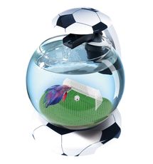 Аквариум круглый для рыб Tetra Cascade Globe Football 6.8л (Свет=8Лед+Фильтр EC100) 
