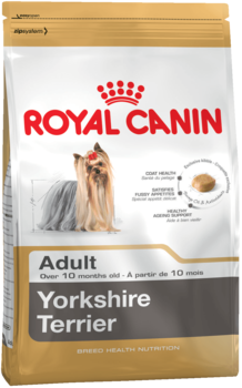 K yorkshire terrier