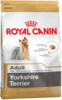 K yorkshire terrier