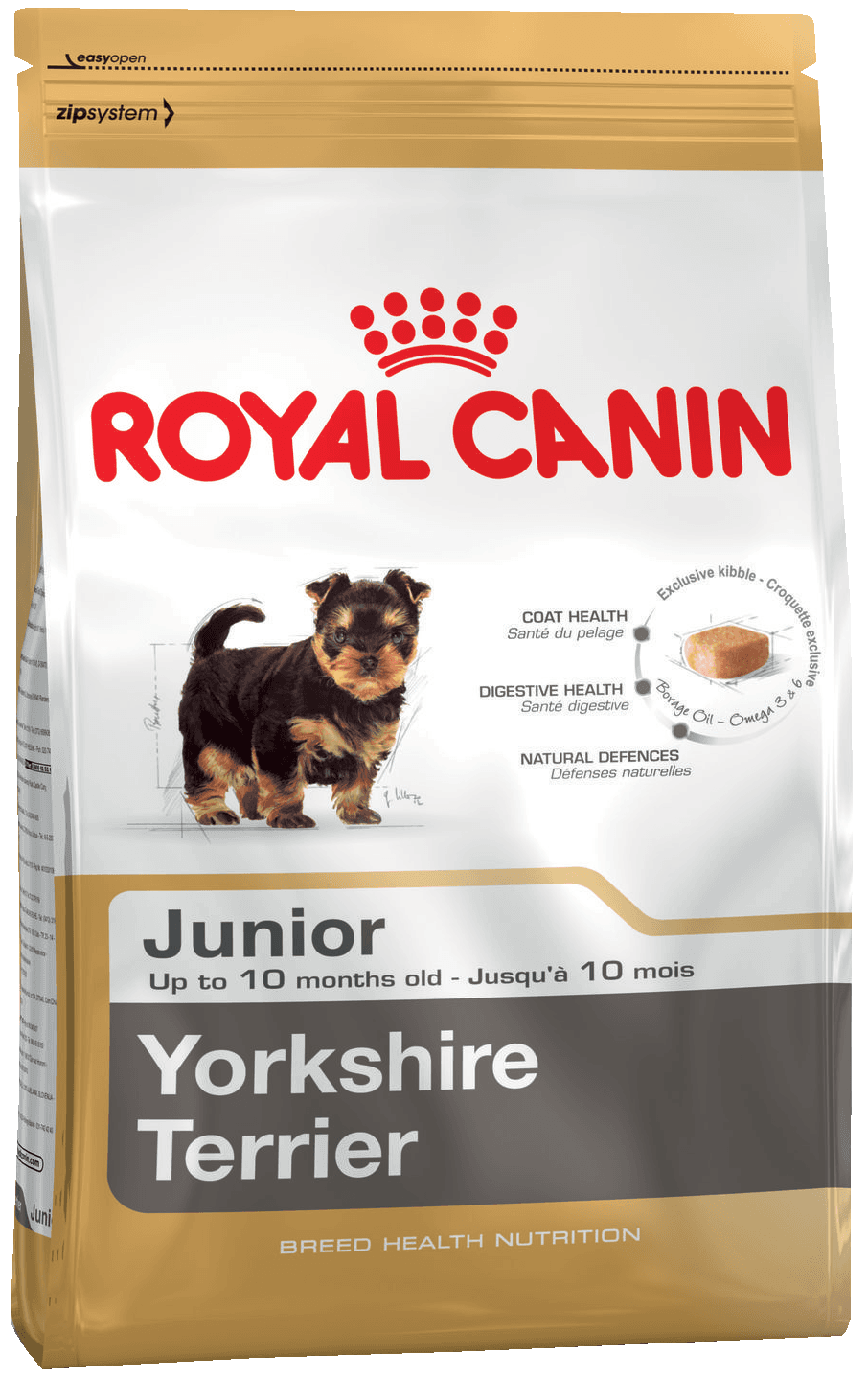 K yorkshire terrier junior