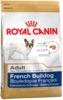 K french bulldog