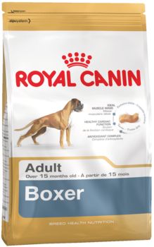 K boxer adult