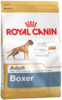 K boxer adult