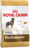 K rottweiler