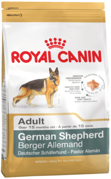 K german shepherd