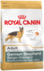 K german shepherd