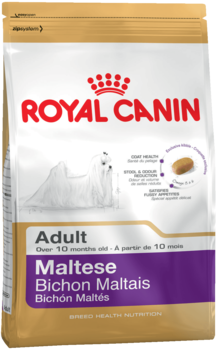 K maltese