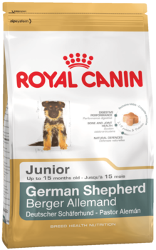K german shepherd junior