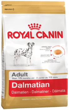 K dalmatian
