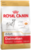 K dalmatian
