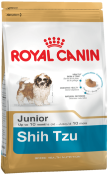 K shih tzu junior