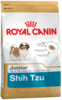 K shih tzu junior