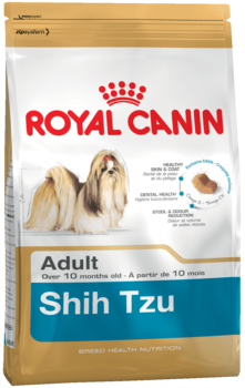 K shih tzu