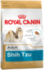 K shih tzu