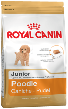 Сухой корм для щенков породы Пудель до 10 месяцев Royal Canin Poodle Junior, Роял Канин Пудель Юниор, 500гр 500 гр