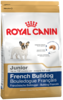 K french bulldog junior