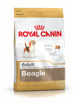 K beagle %281%29