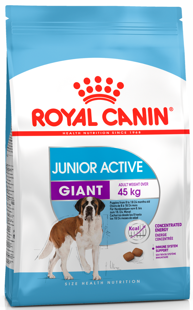 Giant junior active