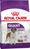 Giant adult